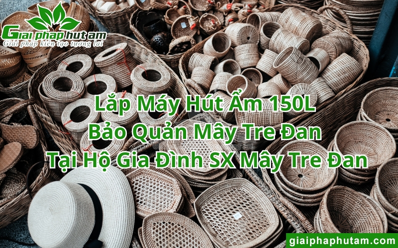 máy hút ẩm bảo quản mây tre đan