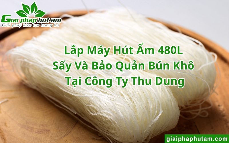 Máy Hút Ẩm 480L Sấy Và Bảo Quản Bún Khô Tại CTY Thu Dung