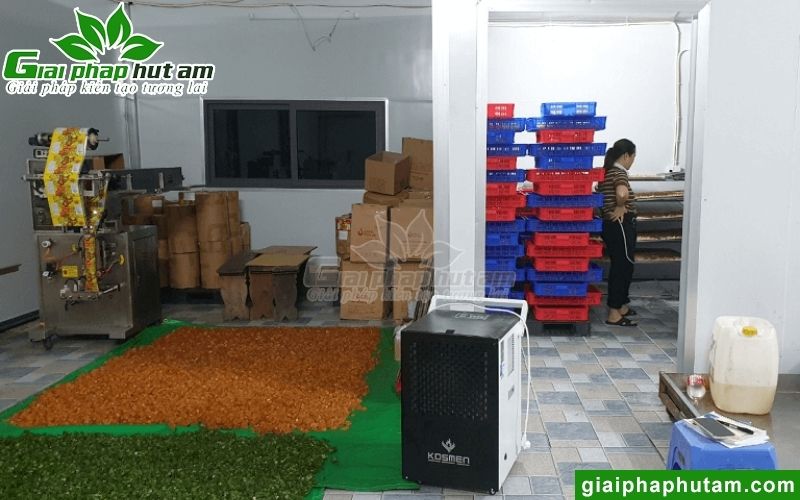 Hình ảnh lắp đặt máy hút ẩm tại Công ty T389 Việt Nam - Hà Nội
