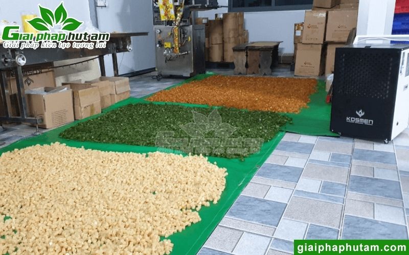 Hình ảnh lắp đặt máy hút ẩm tại Công ty T389 Việt Nam - Hà Nội
