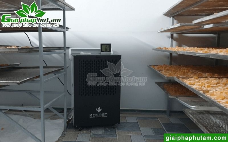 Hình ảnh lắp đặt máy hút ẩm tại Công ty T389 Việt Nam - Hà Nội