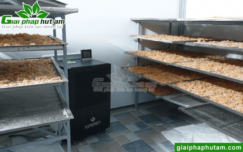 Hình ảnh lắp đặt máy hút ẩm tại Công ty T389 Việt Nam - Hà Nội