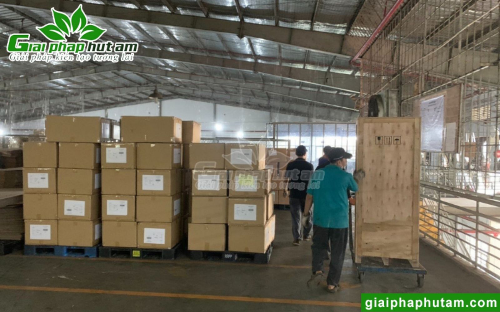 lắp máy hút ẩm bảo quản giày tại tp hcm 2