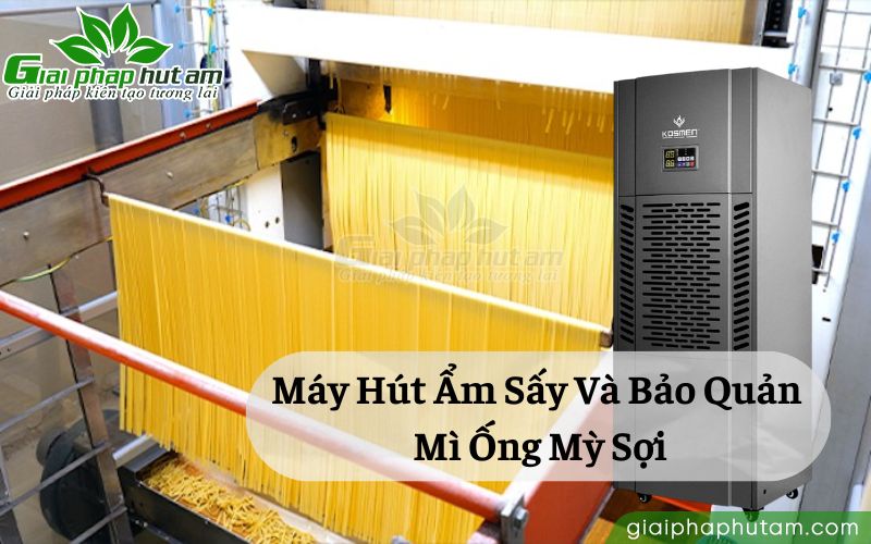 Máy hút ẩm sấy và bảo quản mì ống mỳ sợi