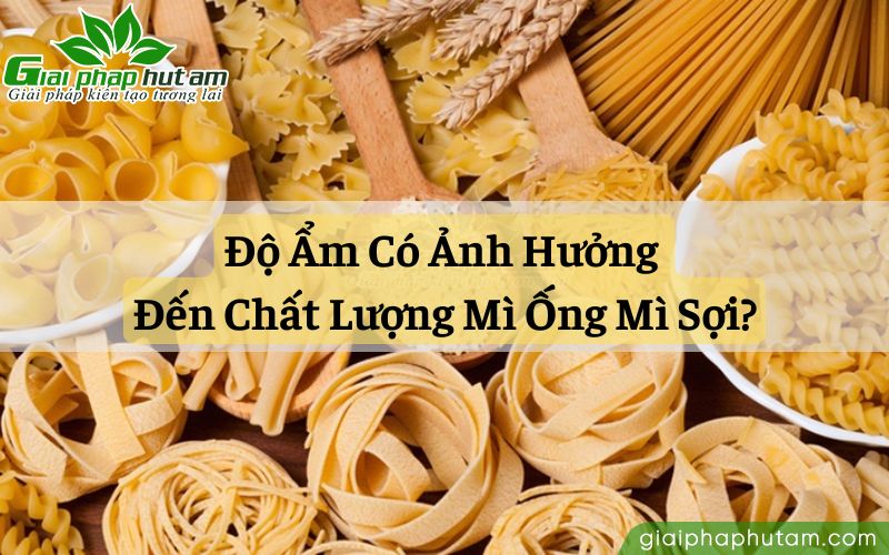 Ảnh hưởng của độ ẩm đến chất lượng mì ống mì sợi