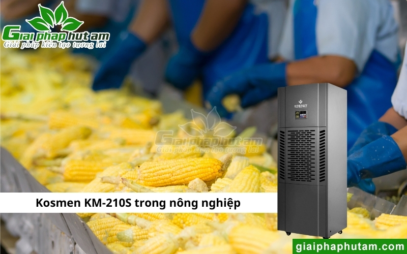 Máy hút ẩm Kosmen KM-210S trong nông nghiệp