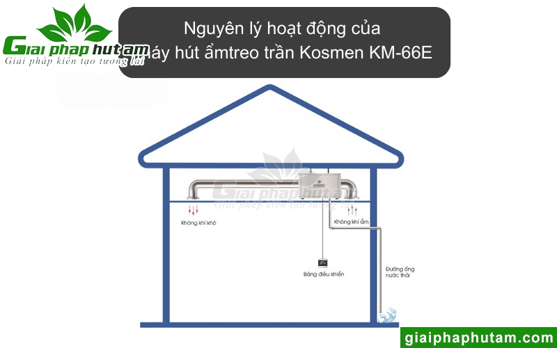 Máy hút ẩm treo trần Kosmen KM-66E hoạt động theo nguyên lý ngưng tụ lạnh
