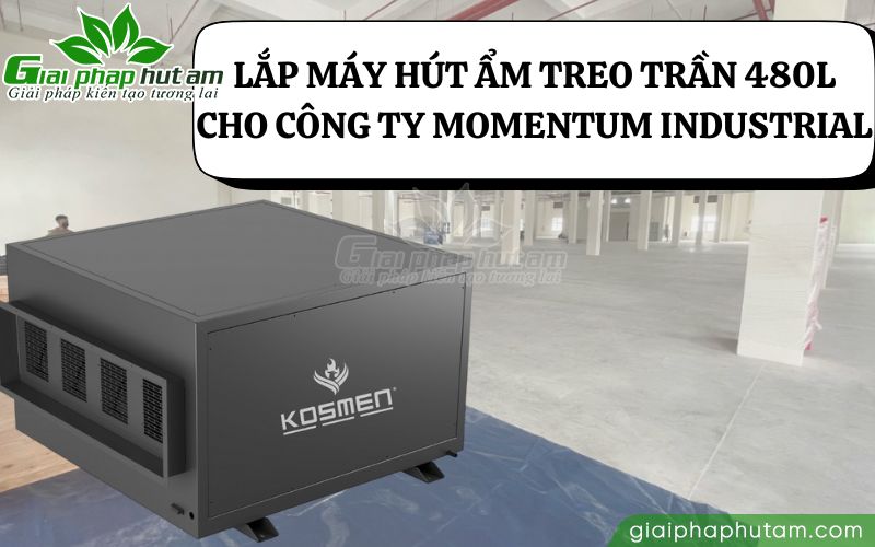 Lắp đặt máy hút ẩm treo trần kosmen km-480ds cho công ty tại quận 7