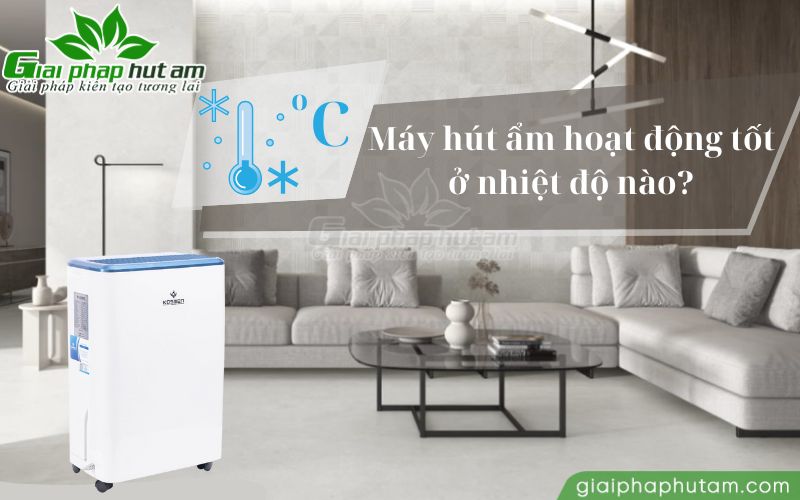 Máy hút ẩm hoạt động tốt nhất trong khoảng nhiệt từ 5-38 độ C