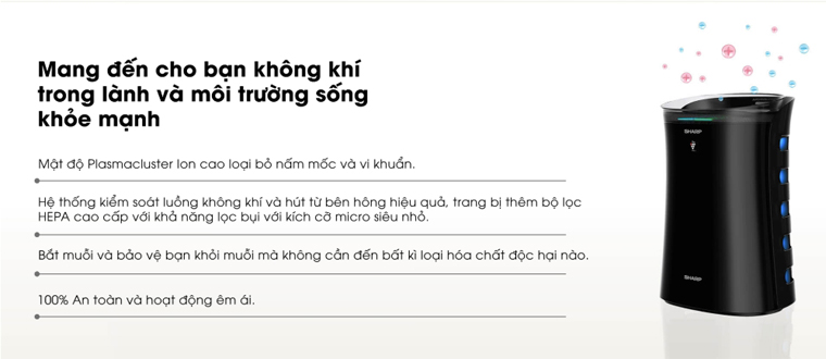 Giải pháp hút ẩm hàng đầu Việt Nam