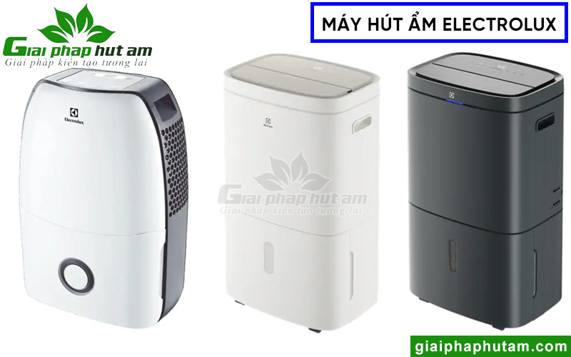 Đa dạng mẫu mã máy hút ẩm Electrolux