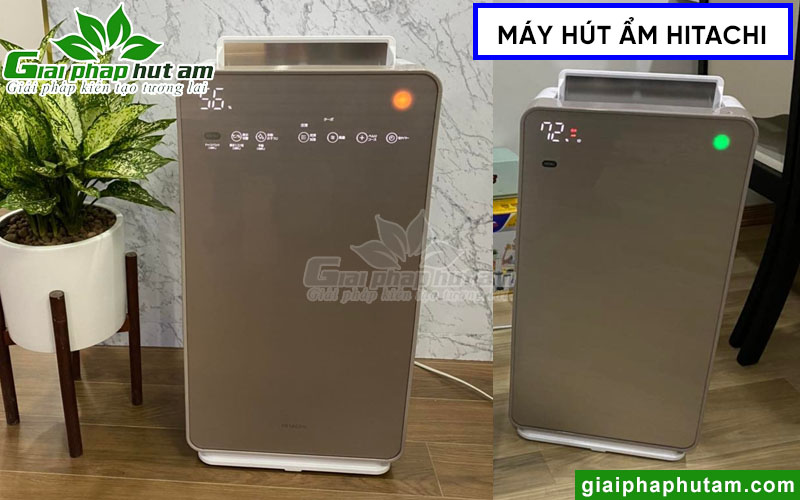 Máy hút ẩm Hitachi có thiết kế thẩm mỹ