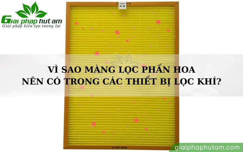 Vì sao các thiết bị lọc không khí nên có màng lọc phấn hoa?