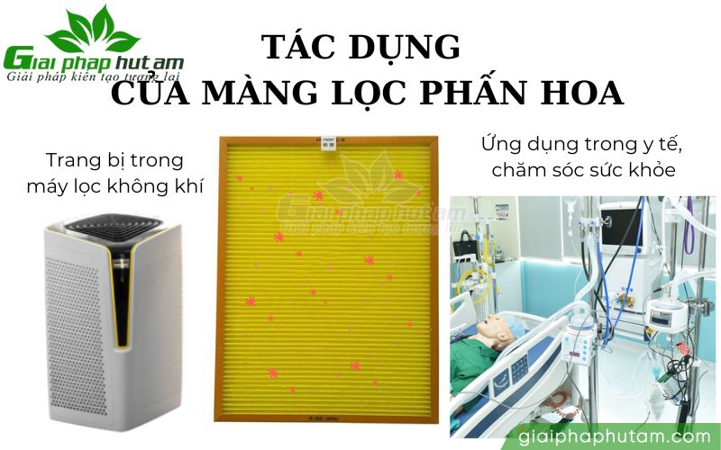 Tác dụng của màng lọc phấn hoa