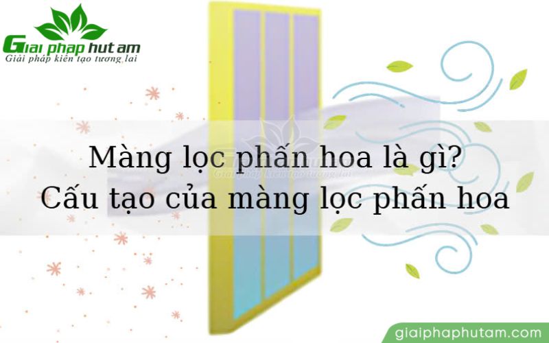 Màng lọc phấn hoa là gì? Cấu tạo của màng lọc phấn hoa