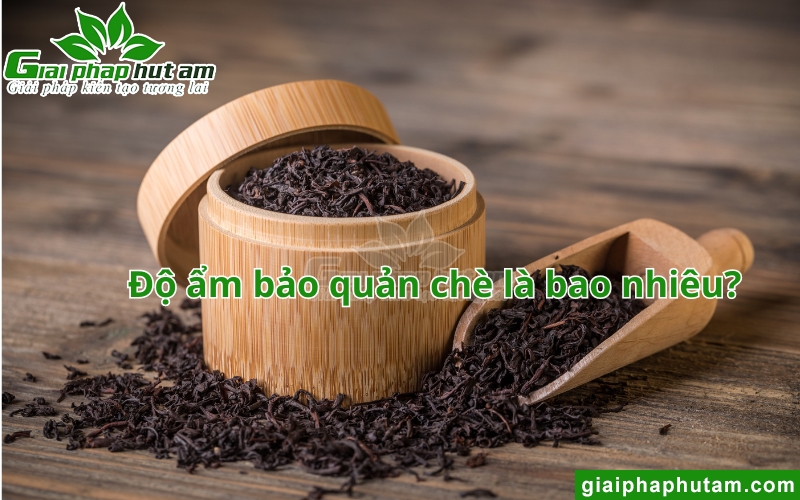 Độ Ẩm Bảo Quản Chè