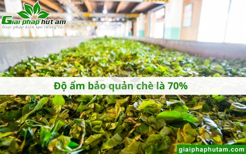 Độ Ẩm Bảo Quản Chè là 70%