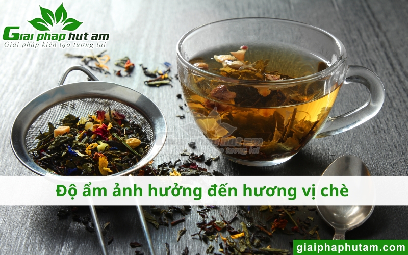 Độ Ẩm Bảo Quản Chè ảnh hưởng đến hương vị
