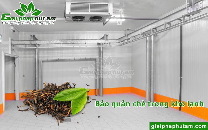 sử dụng phòng lạnh để Độ Ẩm Bảo Quản Chè