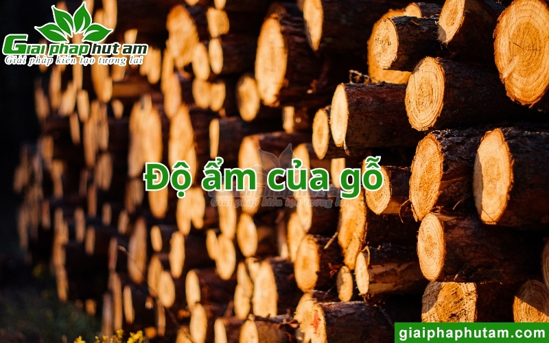 Độ ẩm của gỗ