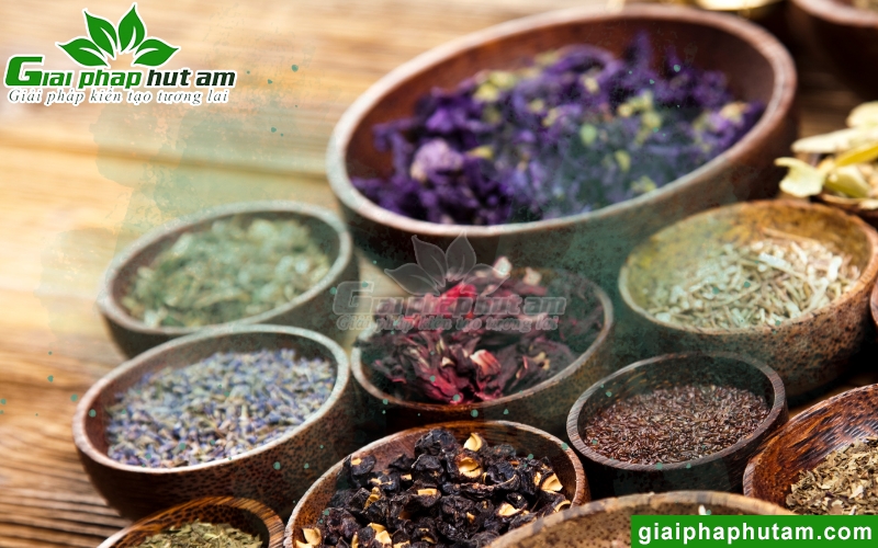 ảnh hưởng của Độ ẩm dược liệu