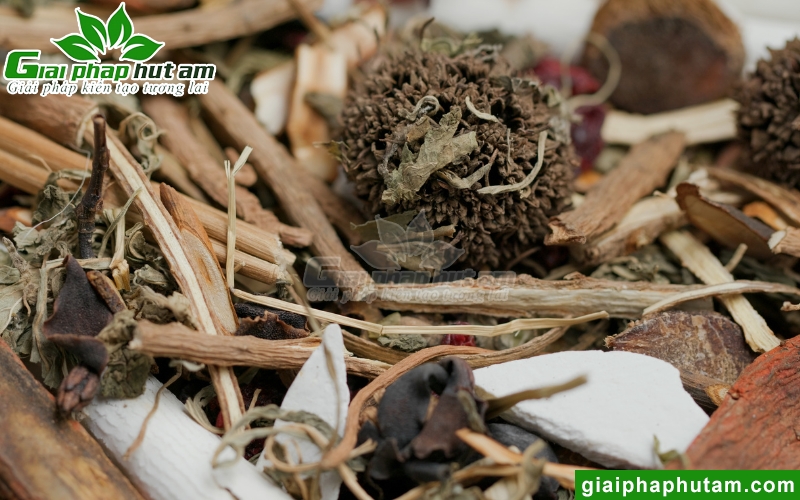 Độ ẩm dược liệu làm thay đổi kích thước của thuốc