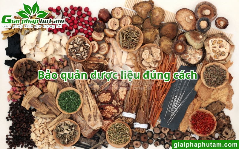 bảo quản và duy trì Độ ẩm dược liệu
