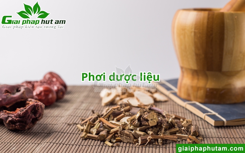 phương pháp phơi dược liệu trong bảo quản và duy trì Độ ẩm dược liệu