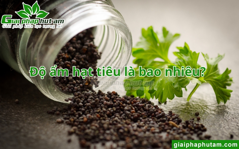 Độ ẩm hạt tiêu