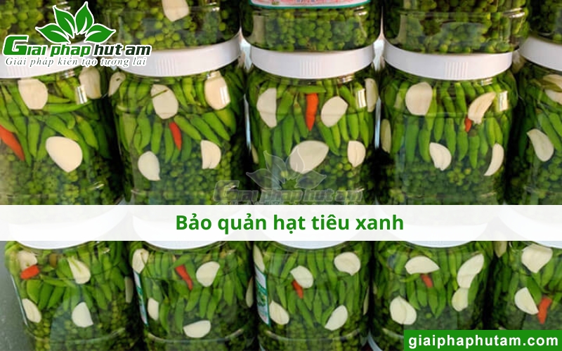bảo quản tiêu xanh an toàn