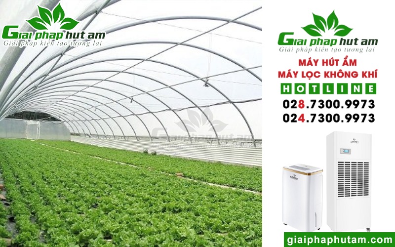 địa chỉ mùa máy hút độ ẩm nhà kính, nhà màng, nhà lưới