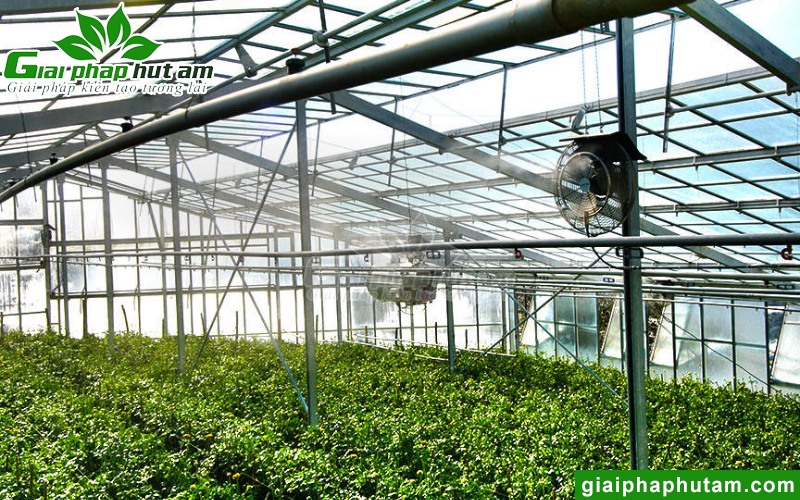 lắp quạt gió cho nhà kính, nhà màng, nhà lưới