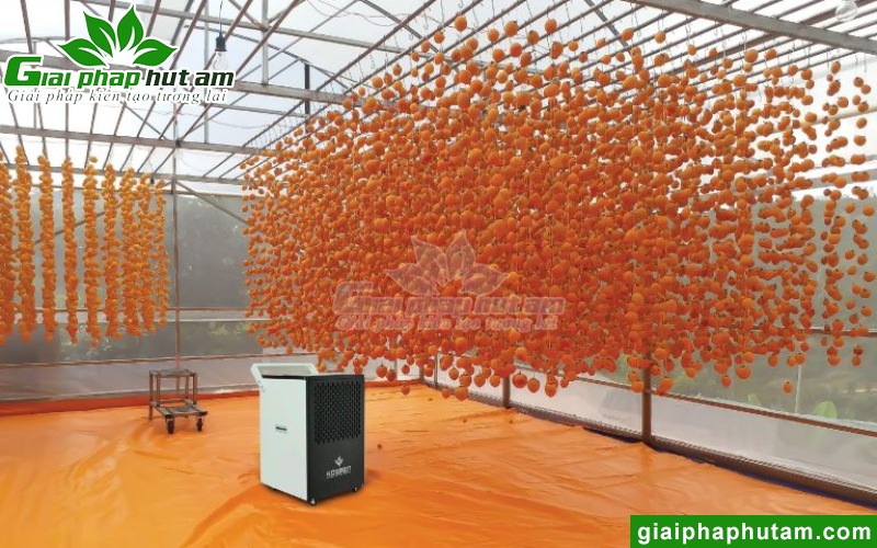 máy hút ẩm có công dụng sấy trong nhà kính, nhà màng, nhà lưới
