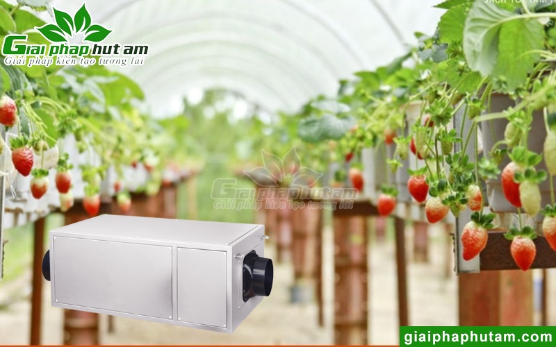 máy hút độ ẩm nhà kính, nhà màng, nhà lưới Kosmen KM-96E