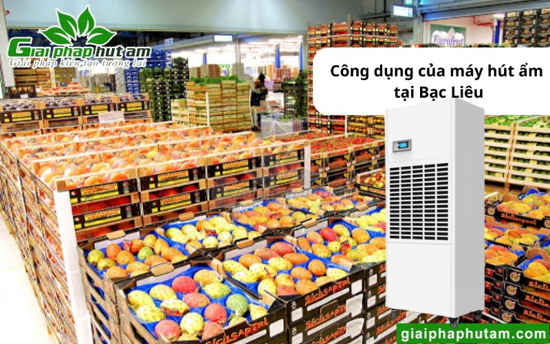 Bảo quản nông sản bằng Máy hút ẩm tại Bạc Liêu