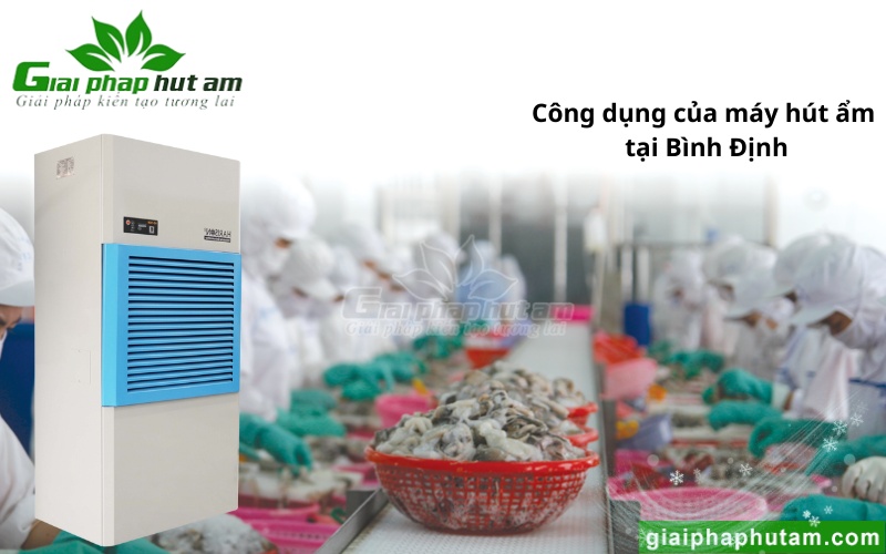 ứng dụng Máy hút ẩm tại Bình Định trong chế biến thủy sản