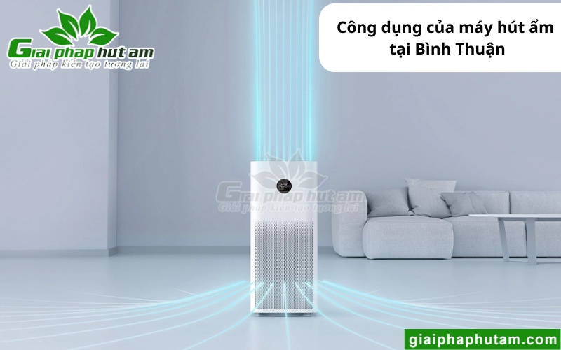 Máy hút ẩm tại Bình Thuận giúp duy trì độ ẩm