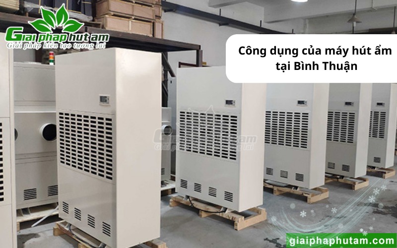 đảm bảo chất lượng hàng hóa với Máy hút ẩm tại Bình Thuận