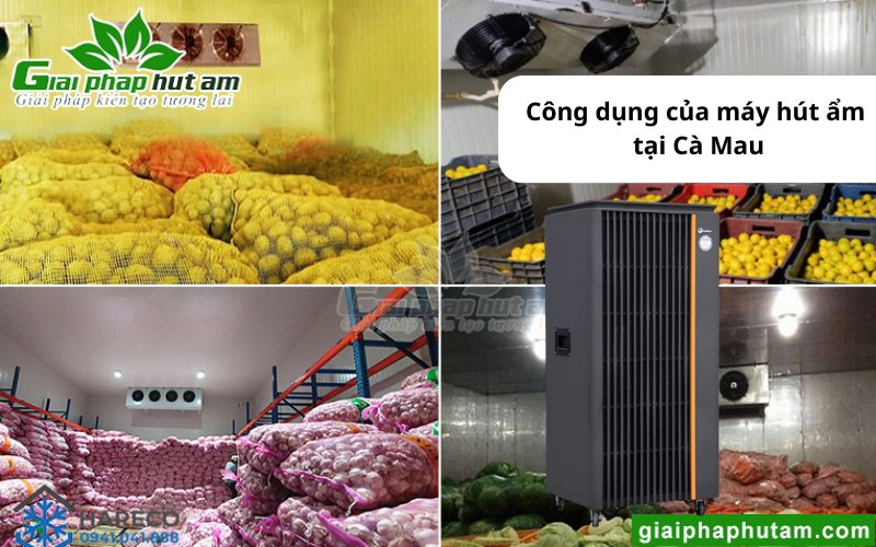 sử dụng máy hút ẩm tại Cà Mau trong bảo quản nông sản