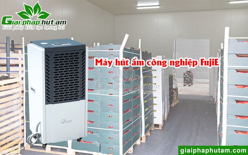 Máy hút ẩm công nghiệp FujiE