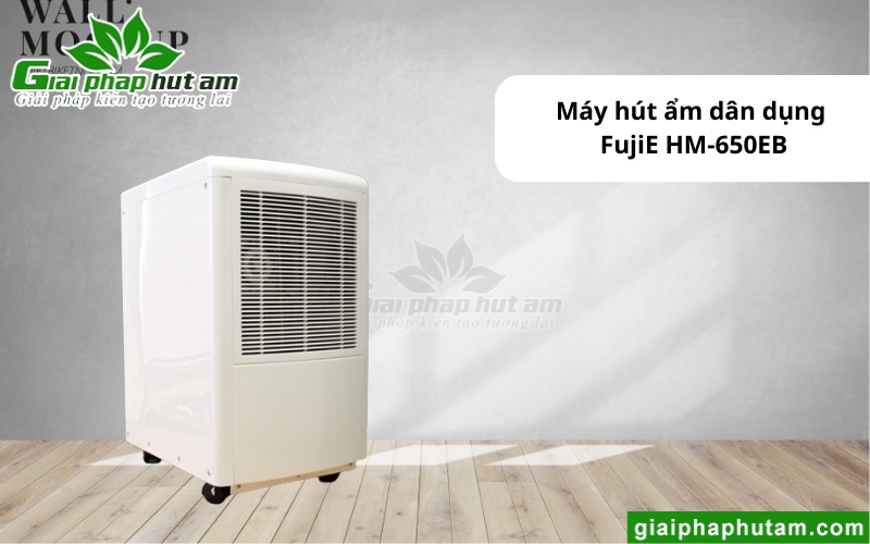 Máy hút ẩm tại hậu Giang FujiE HM-650EB