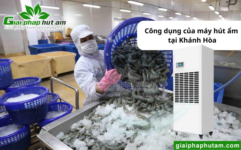 Máy hút ẩm tại Khánh Hòa sử dụng trong chế biến tôm, hải sản