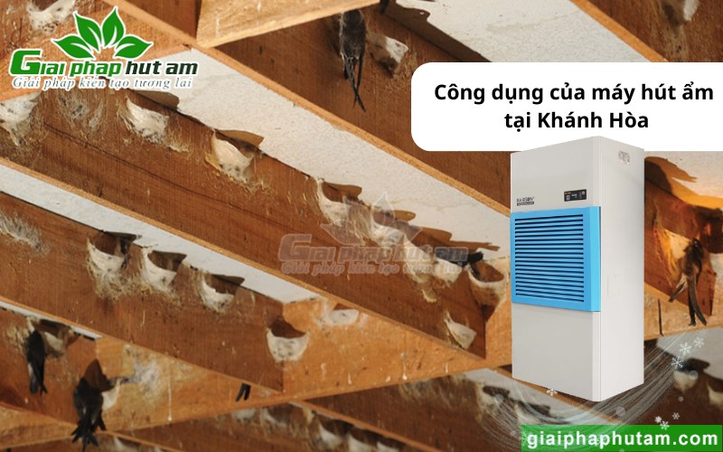 Máy hút ẩm nhà yến tại Khánh Hòa