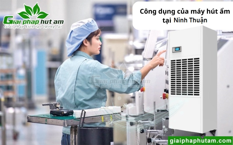 Máy hút ẩm tại Ninh Thuận trong nhà máy, kho xưởng