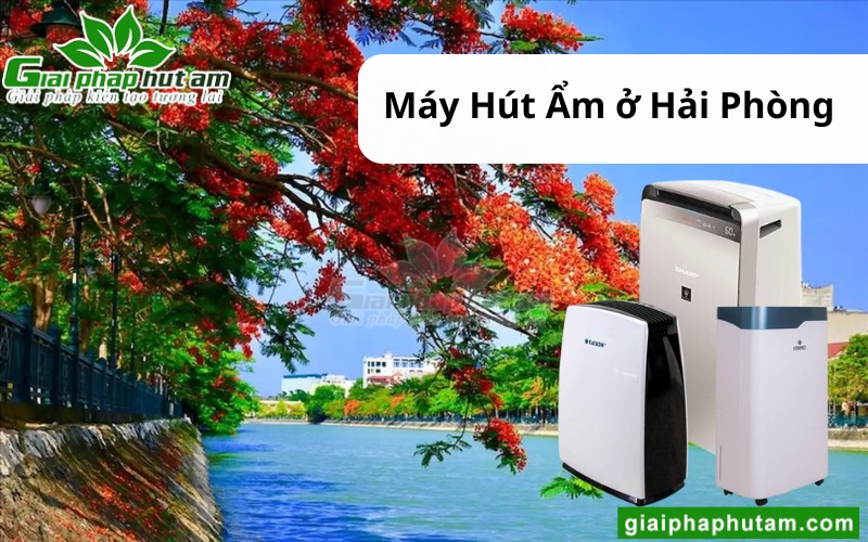 Máy hút ẩm ở Hải Phòng