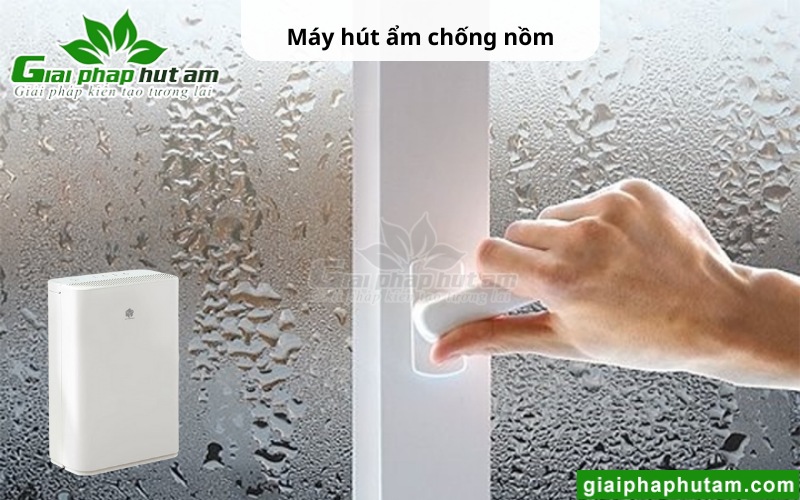 máy hút ẩm tại Quảng Trị chống nồm