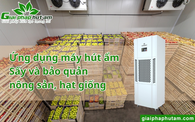 máy hút ẩm bảo quản nông sản, hạt giống