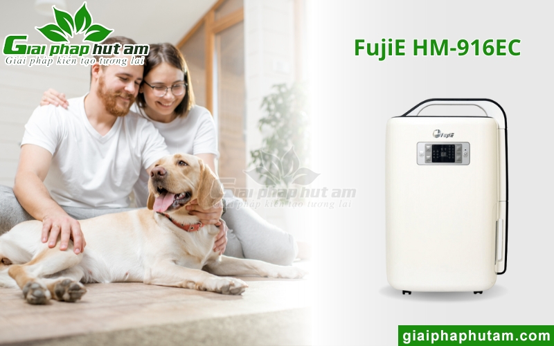 Máy Hút Ẩm Tại Bắc Kạn fujie hm-916ec