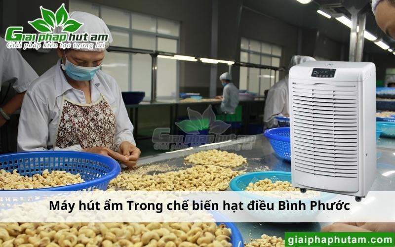 sử dụng Máy Hút Ẩm Tại Bình Phước trong chế biến hạt điều