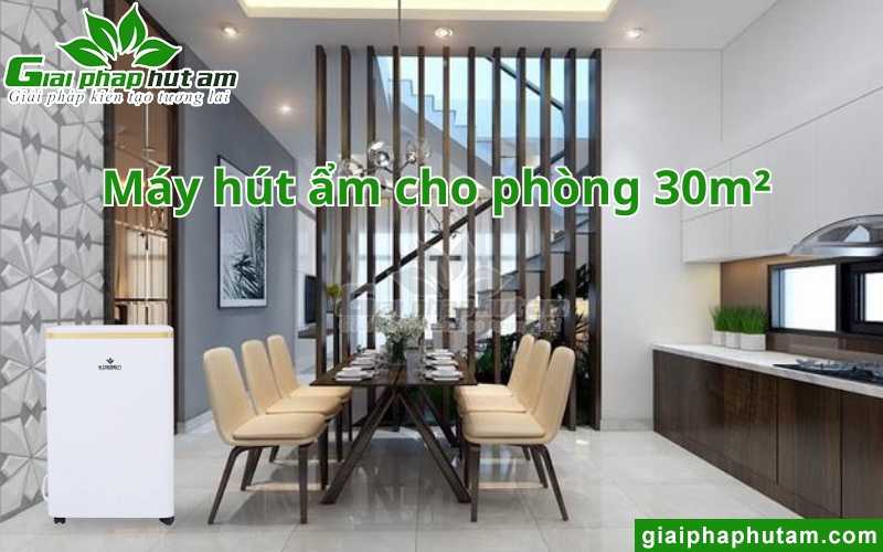 Máy hút ẩm tại Điện Biên cho phòng 30m2